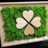 Rama licheni stabilizati Uca125 - 30x20cm -  accesorii lemn trifoi