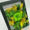 Trandafir criogenat verde deschis Uca135L