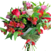 Buchet Uca240