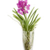Orhidee VANDA Premium Charlotte Glass - H60 cm