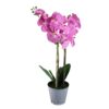 Orhidee Phalaenopsis roz - 2 tije / 75cm