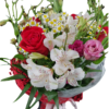 Buchet Uca170