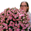 Buchet 75 Roses spray Odilia