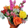 Buchet Uca170