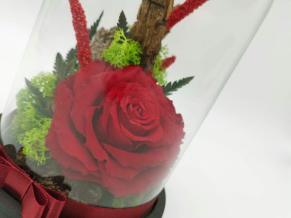 Trandafir criogenat in cupola Uca165L – cupola H21cm, trandafir criogenat L, aranjament mini din flori uscate, licheni stabilizati si decoruri naturale