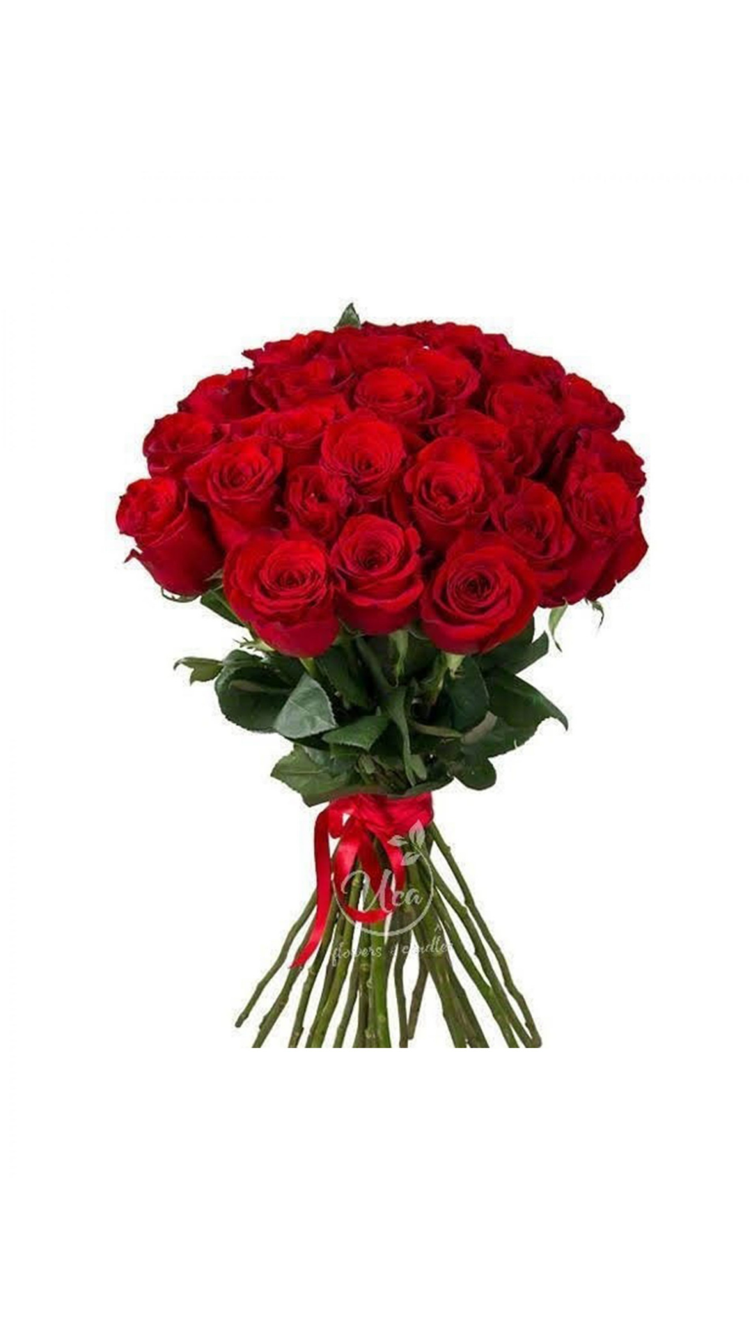 Buchet 25 trandafiri roșii - Florăria Uca Flowers Tulcea