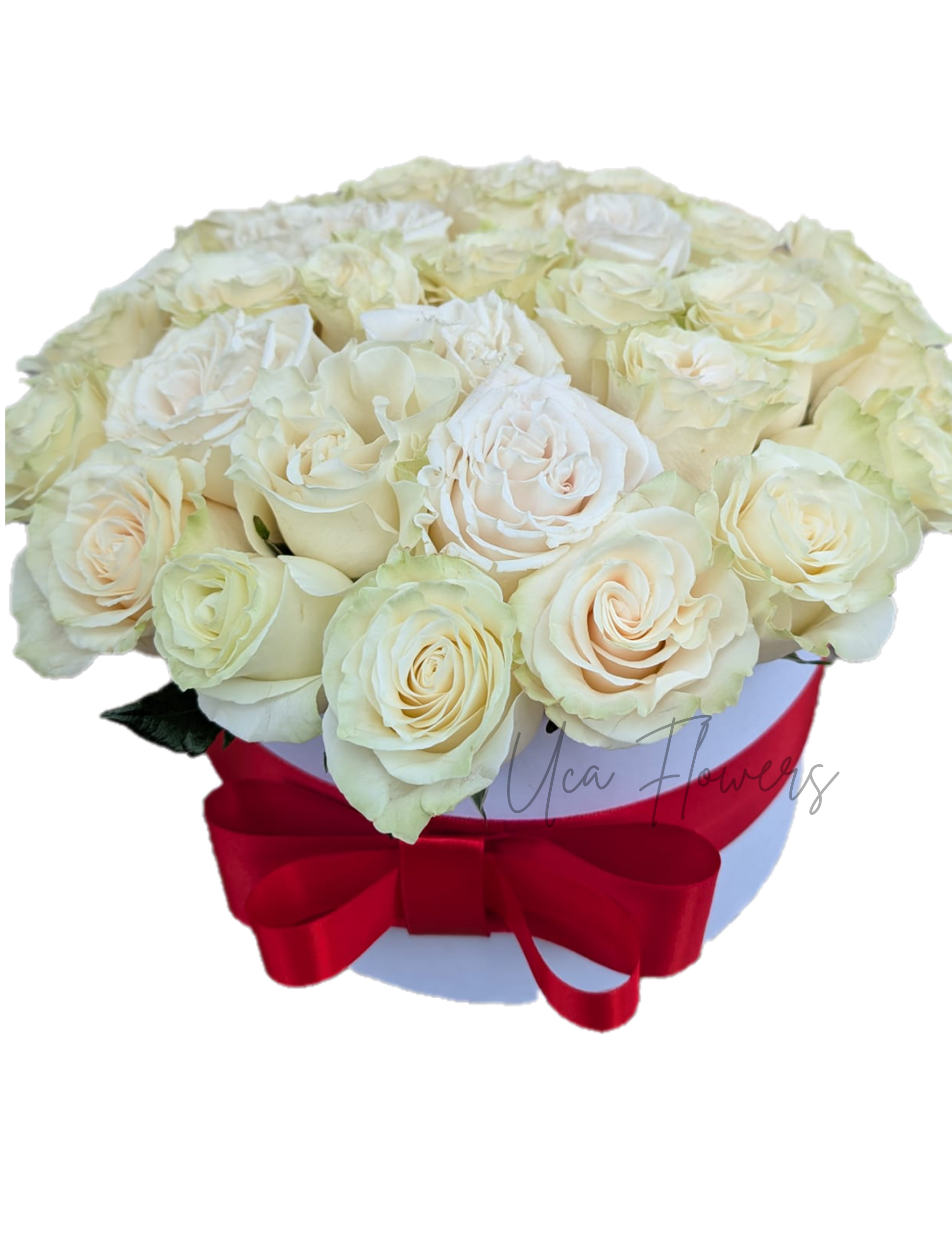 Cutie cu 37 de trandafiri albi | Florarie în Tulcea - Uca Flowers