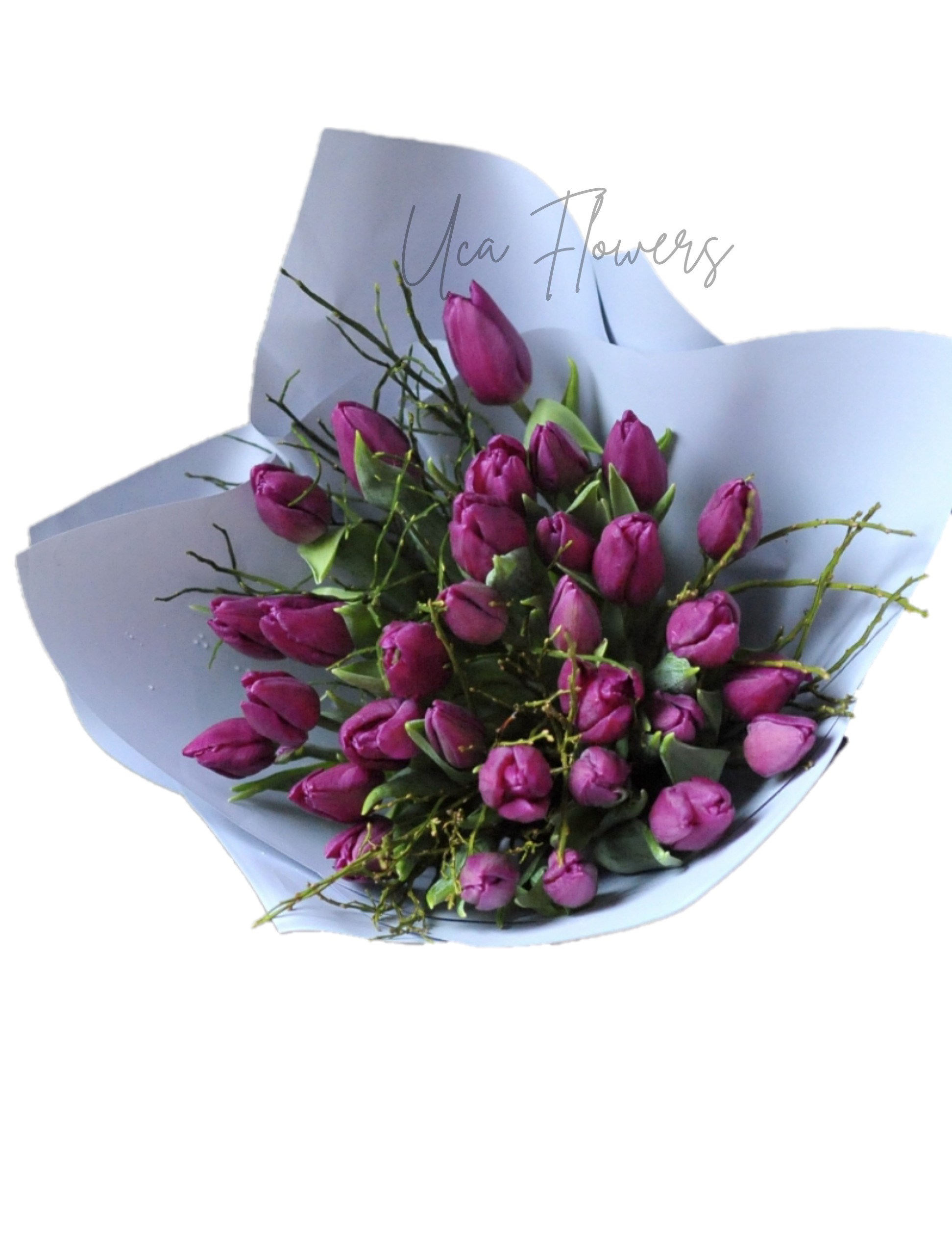 Buchet 31 lalele mov - Uca Flowers Tulcea