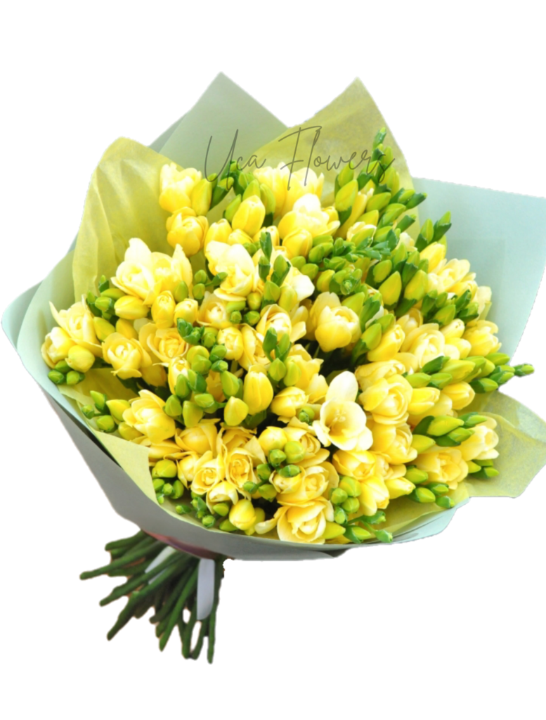 Buchet 51 Frezii Galbene | Florarie în Tulcea - Uca Flowers