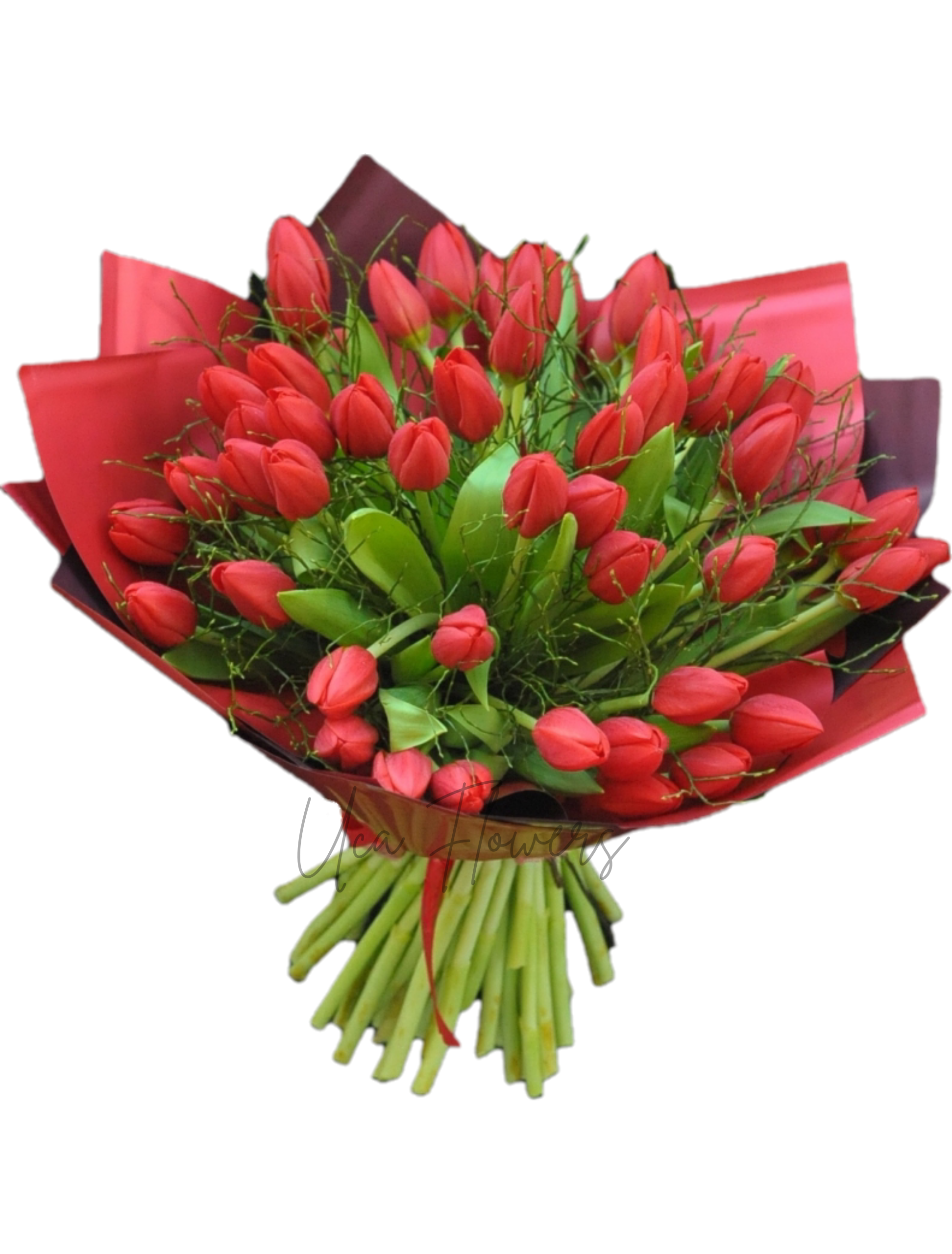 Buchet 51 lalele roșii - Uca Flowers Tulcea