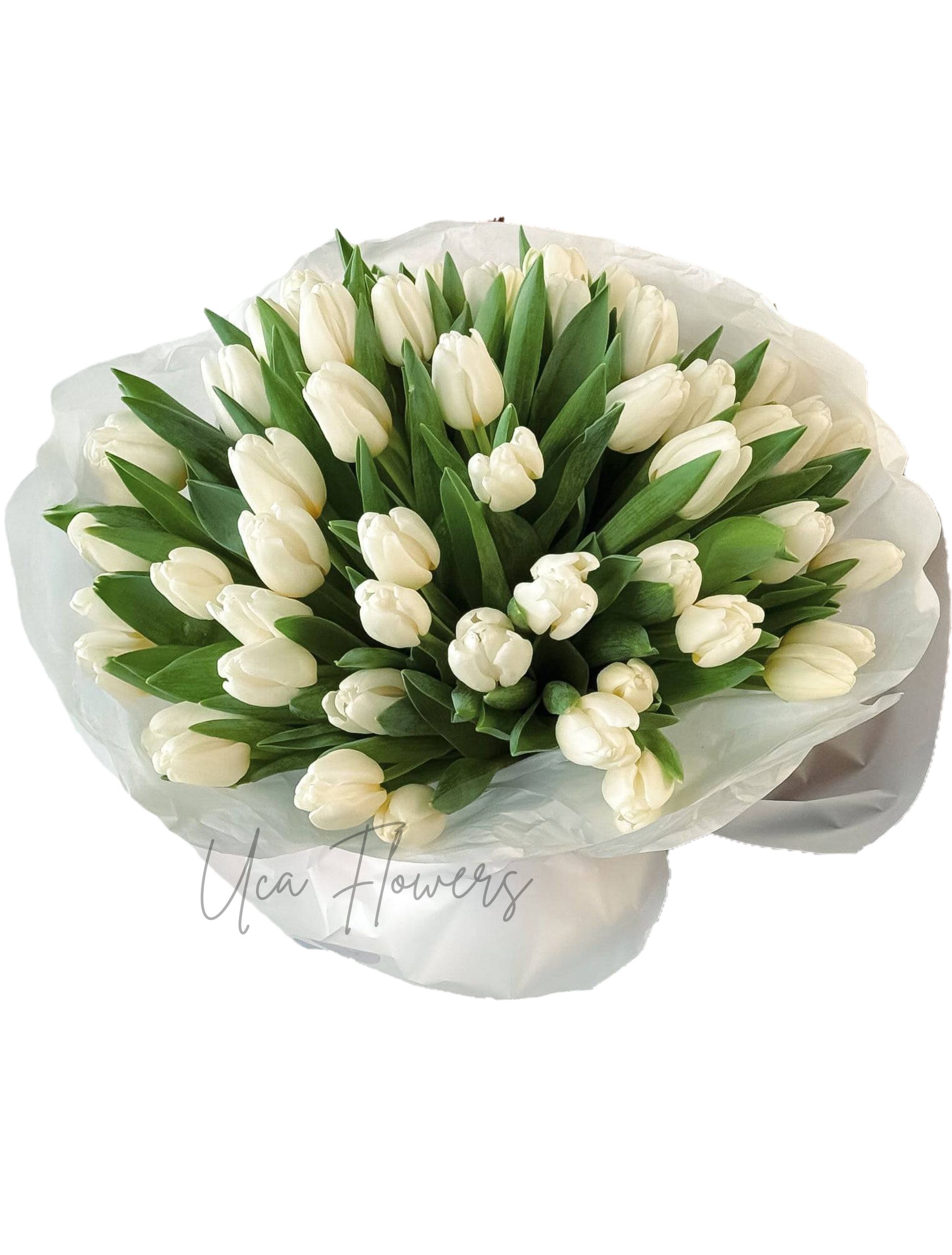 Buchet 31 lalele | Florarie în Tulcea - Uca Flowers & Candles