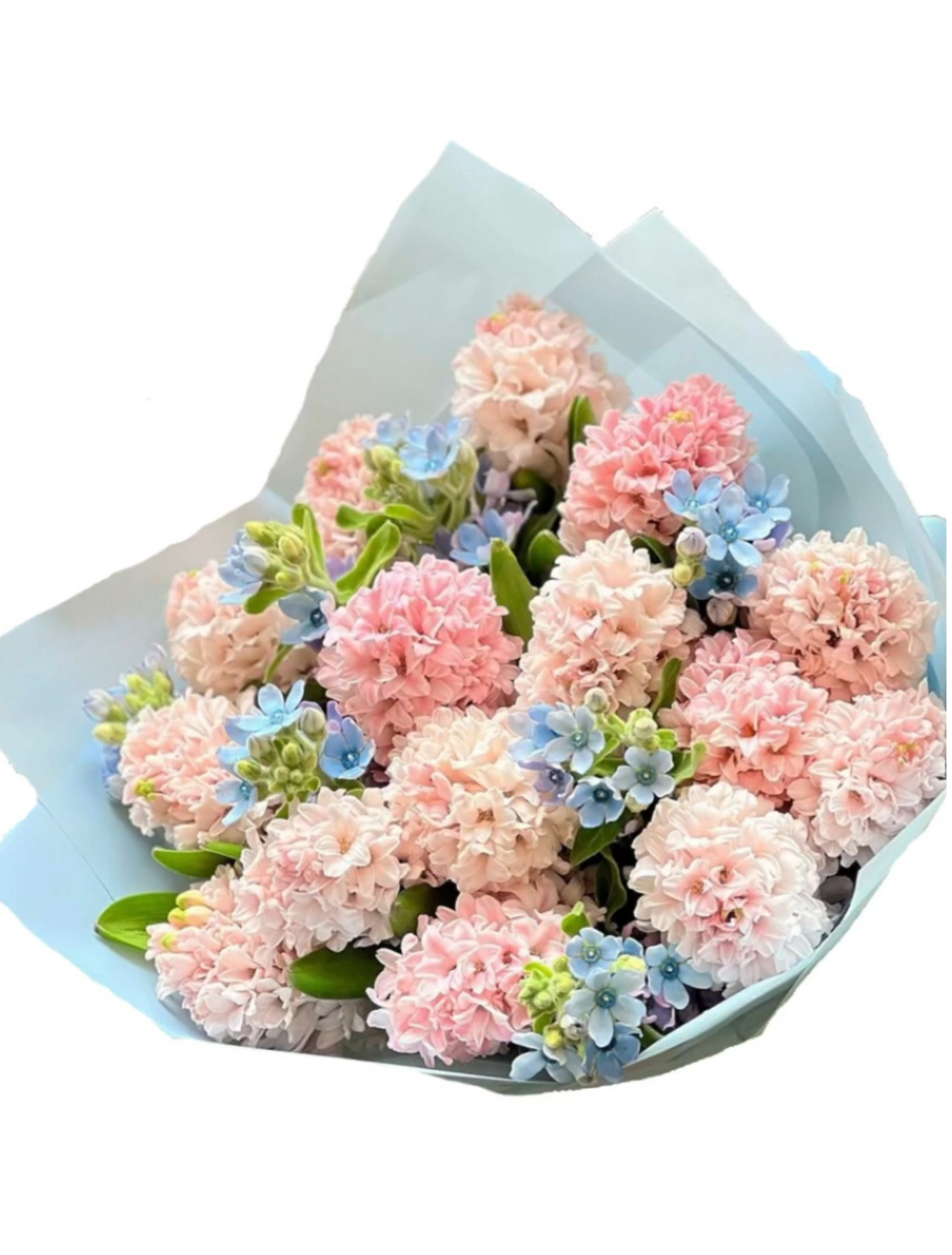 Buchet de zambile si oxypetalum