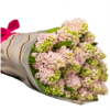 Buchet 25 zambile Olanda