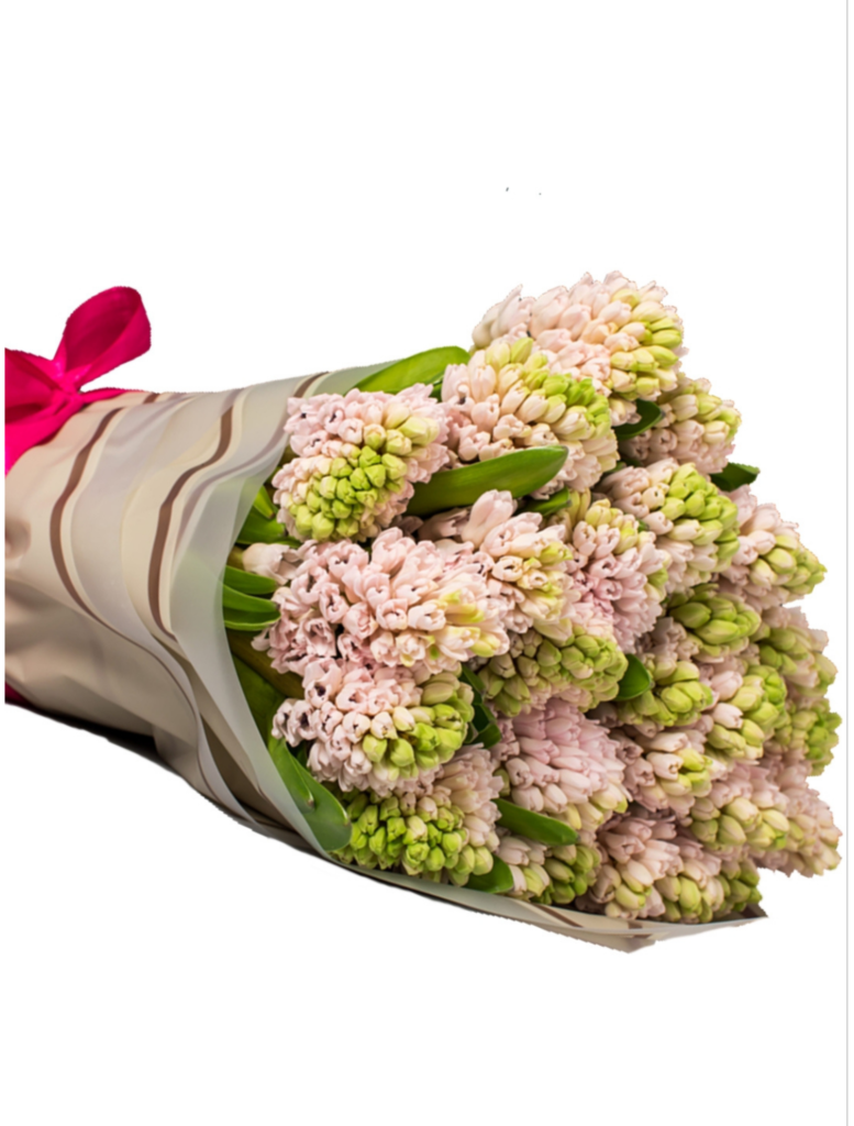 Buchet 25 fire zambile Olanda