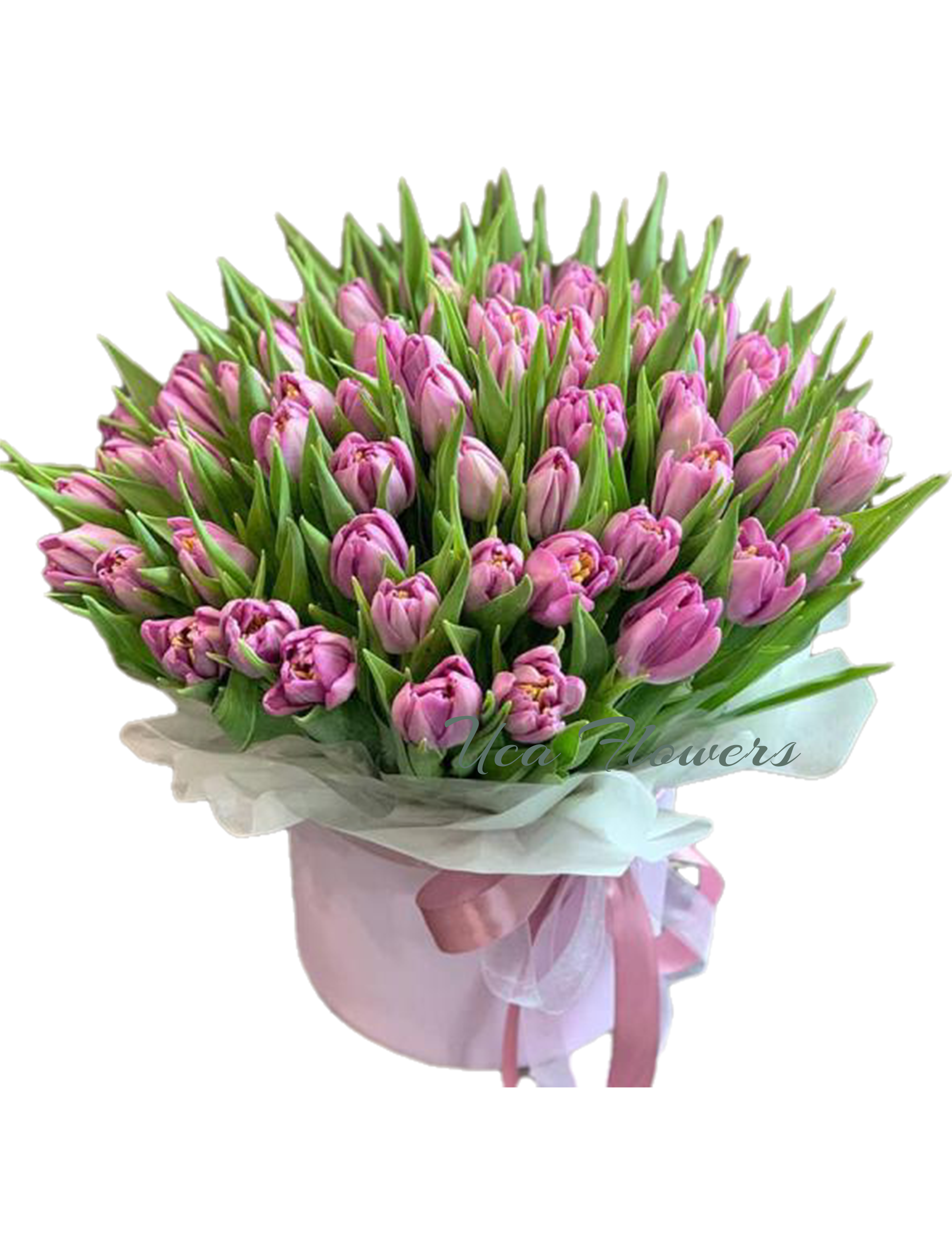 Cutie cu 51 lalele mov | Florarie în Tulcea - Uca Flowers